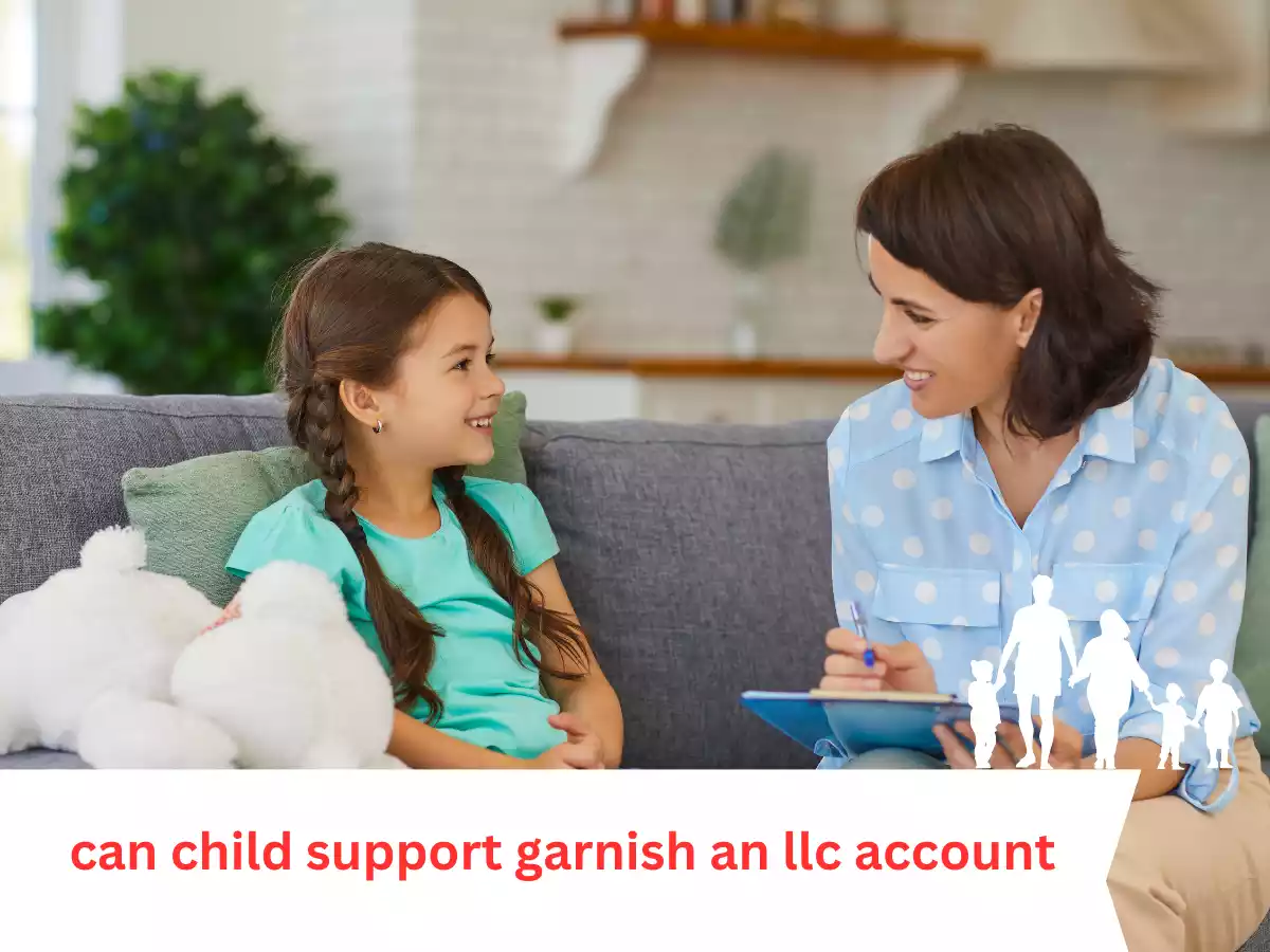 can child support garnish an llc account