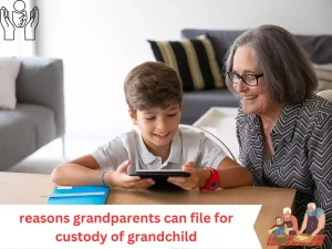 reasons grandparents can file for custody of grandchild